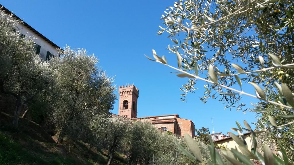 Antica Casa Dei Rassicurati Bed & Breakfast Montecarlo Bagian luar foto